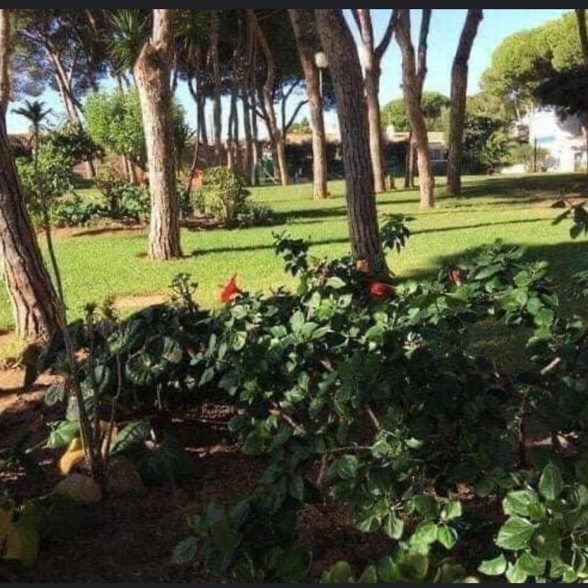 Apartamento Calypso Apartment Sitio de Calahonda Luaran gambar